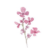Flower Love Sticker by Coppenrath | Die Spiegelburg