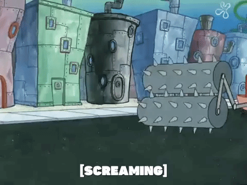 season 5 GIF by SpongeBob SquarePants