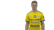 Floorball Salibandy Sticker by F-liiga