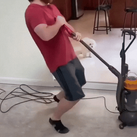 cuteanimalland giphyupload GIF