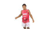 Liga Endesa Basketball Sticker by ACB