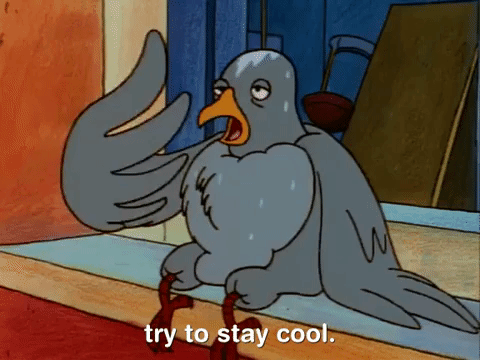 Cartoon gif. A pigeon from Hey Arnold sits on window sill and breathes hard and fans itself, with sweat dripping down its head. Text, "try to stay cool."