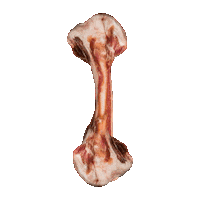 Dinner Bone Sticker by FURCHILD
