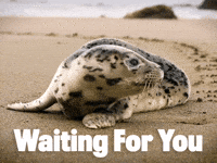 I Love You Waiting GIF by Sealed With A GIF