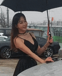 Model GIF