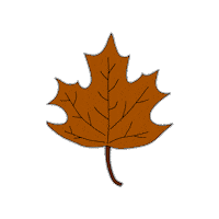 Fall Blad Sticker