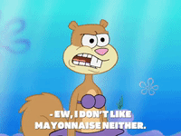 season 8 GIF by SpongeBob SquarePants