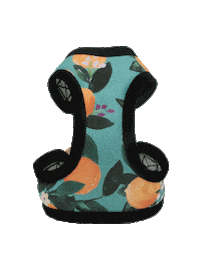 OnaWalk ginger chien chiens harnais Sticker