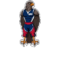 UPCPachuca soyupc upcpachuca Sticker
