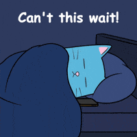 Blue Cat Procrastination GIF