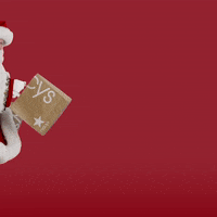 Celebrate Merry Christmas GIF by Macy's