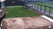New York Sport GIF by New York Yankees