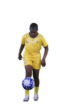 Banyanabanyana Sticker by Shield South Africa