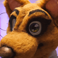 Head Turn Reaction GIF