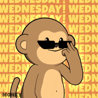 Coffee Work GIF by Wise Monkey Meme