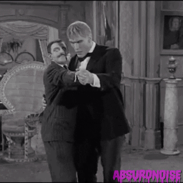 the addams family vintage tv GIF by absurdnoise