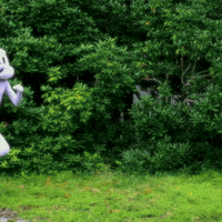 Create Moments Of Joy Whenever You Can