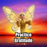 Joy Gratitude GIF by BuddhaFlyJourney