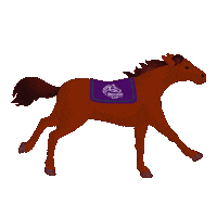 Horse Racing Running Sticker by Breeders' Cup World Championships