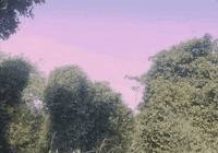 tiff toronto international film festival tiff19 tiff2019 live at tiff19 GIF