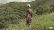 tiff toronto international film festival tiff19 tiff2019 live at tiff19 GIF