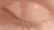 Passionate GIF by Rainsford