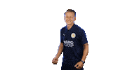 Football Yes Sticker by Eintracht Braunschweig