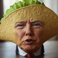 Donald Trump GIF by Respective