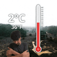 2 Degrees GIF