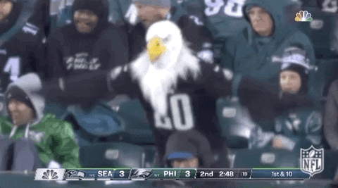 National Football League Playoffs GIF by NFL