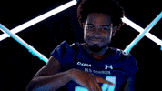 Old Dominion Sport GIF by ODU Football