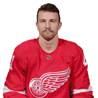 Ice Hockey Sport Sticker by Detroit Red Wings