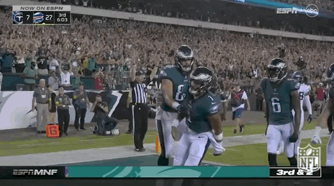 Philadelphia Eagles Football GIF by NFL
