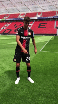Kai Havertz B04 GIF by Bayer 04 Leverkusen