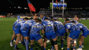 rugby league rlwc GIF by NRL
