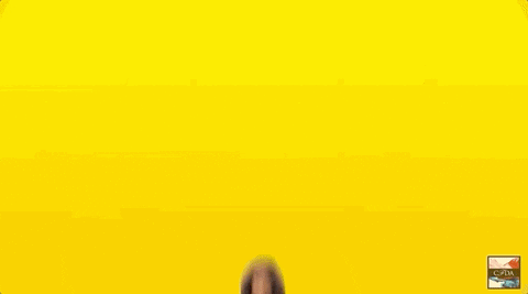cfda giphyupload red carpet cfda awards 2019 GIF