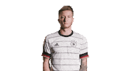 Swipe Up Germany Sticker by DFB-Teams