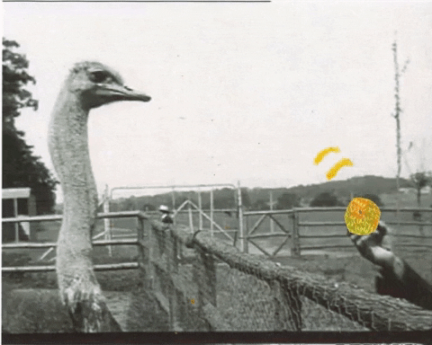 sarahfrost321 giphygifmaker melanie cmgifworkshop GIF