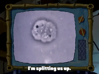 season 2 GIF by SpongeBob SquarePants