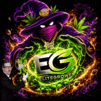 Tea Time Growbox GIF by EliteGrower