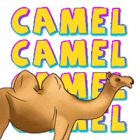 Art Hump Day Sticker