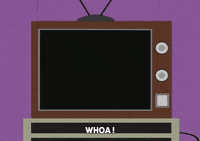 video game tv set GIF by South Park 