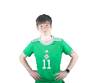 Irish Football Reaction Sticker by Northern Ireland