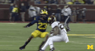 College Football Touchdown GIF by Michigan Athletics