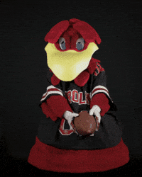 Football Throw GIF by University of South Carolina