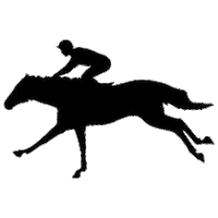 Horse4u run racing horse rider Sticker