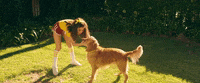 happier GIF by Marshmello