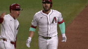 Arizona Diamondbacks Sport GIF by MLB