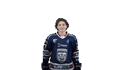 Ice Hockey Sticker by Fehervar AV19