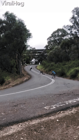Downhill Skateboarder Takes Out Cameraman